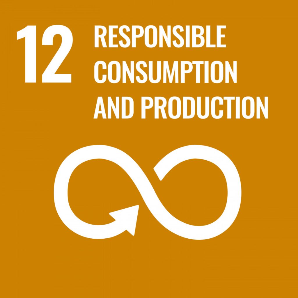 UN's Sustainable Development goals number 12