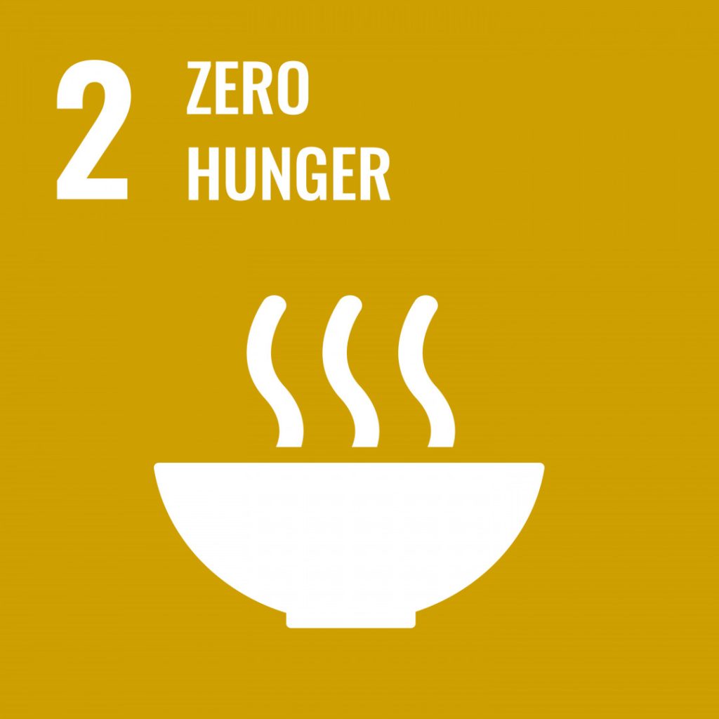 UN's Sustainable Development goals number 2