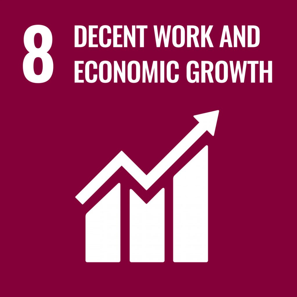 UN's Sustainable Development goals number 8