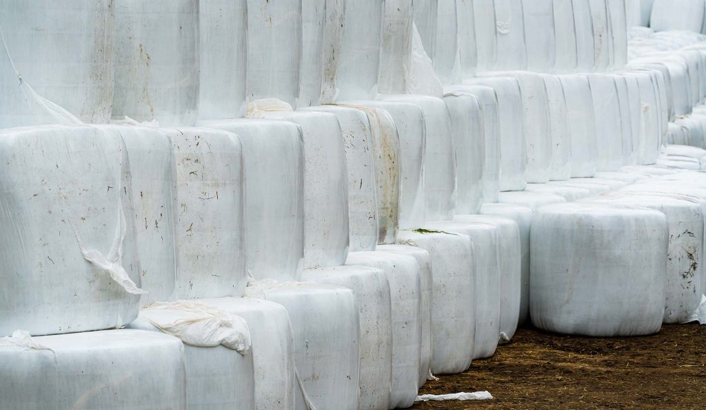 A stack of round bales wrapped in white plastic.